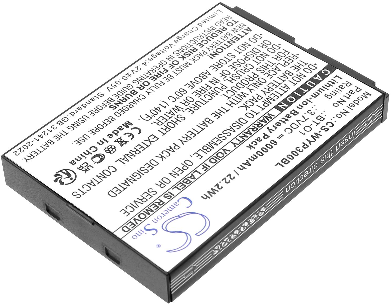 CS-WYP300BL