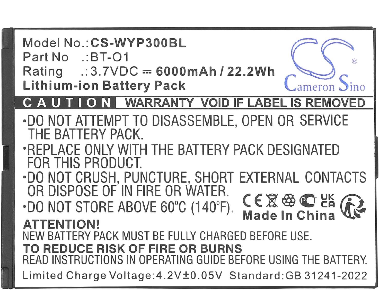 CS-WYP300BL